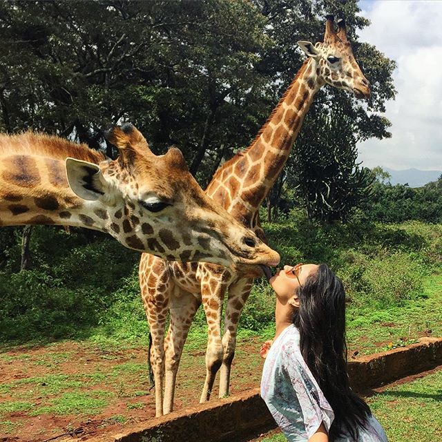 Shay Mitchell Shay Mitchell