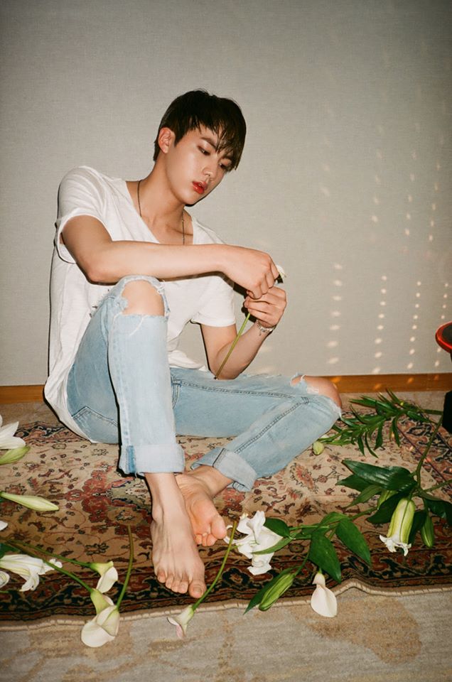 Jin (Kim Seok Jin)