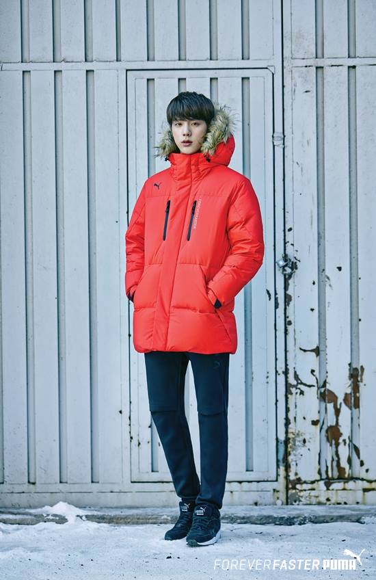 Jin (Kim Seok Jin)
