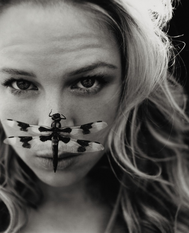Renée Zellweger Renée Zellweger