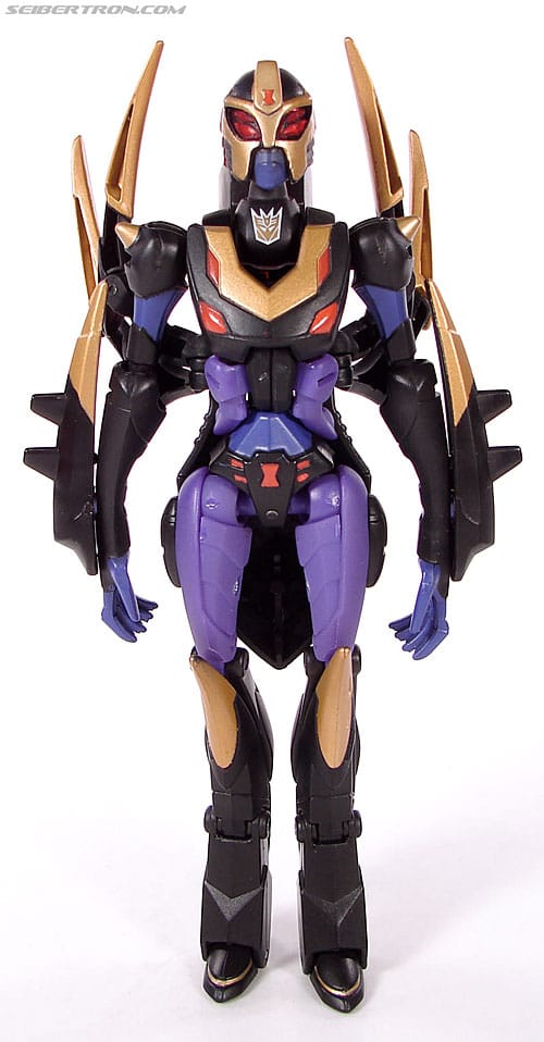 Blackarachnia (Beast Wars)