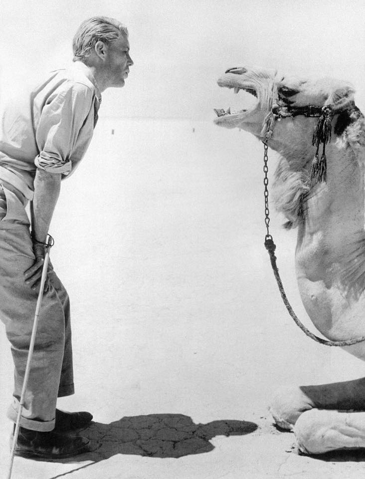 Peter O'Toole Peter O'Toole