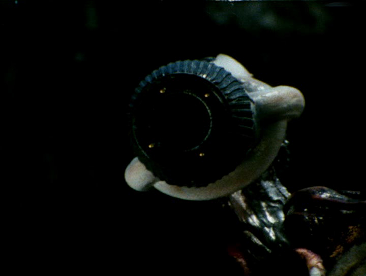 Kidou Keiji Jiban