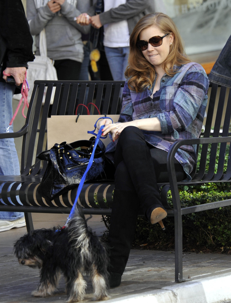 Amy Adams