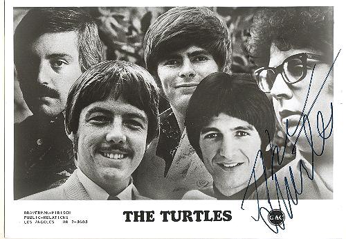 The Turtles