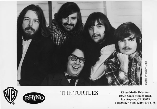 The Turtles