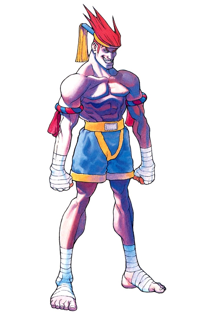 Street Fighter Alpha: Warriors' Dreams