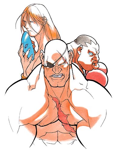 Street Fighter Alpha: Warriors' Dreams