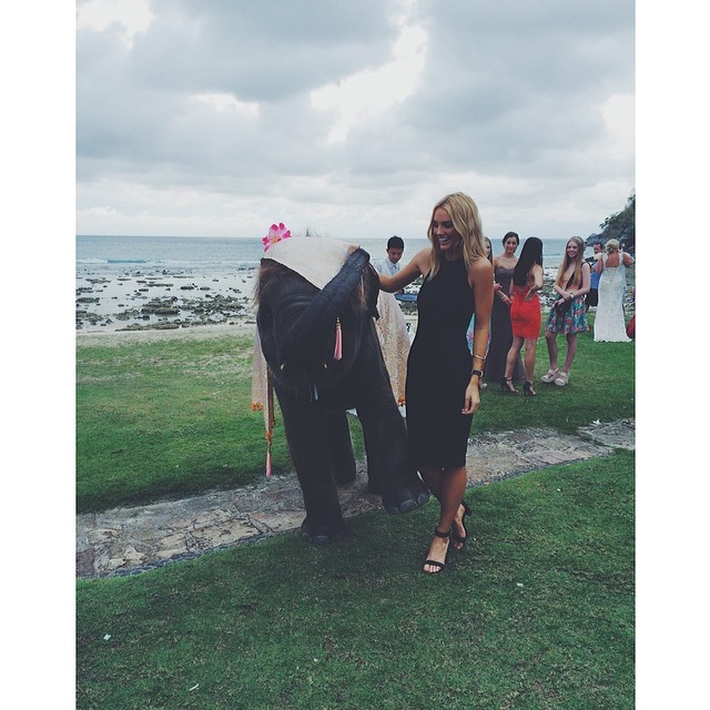 Brooke Hogan (I)