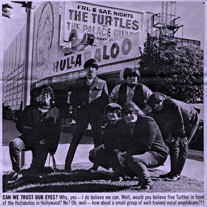 The Turtles