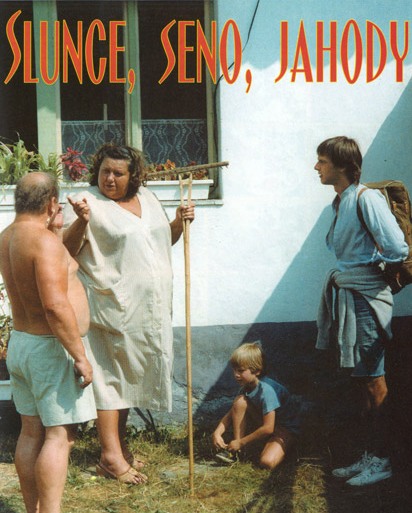Slunce, seno, jahody