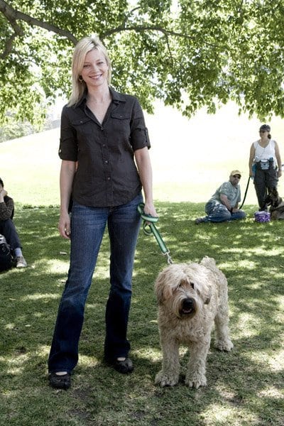 Amy Smart Amy Smart