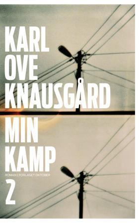 Min kamp. Andre bok