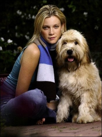 Amy Smart