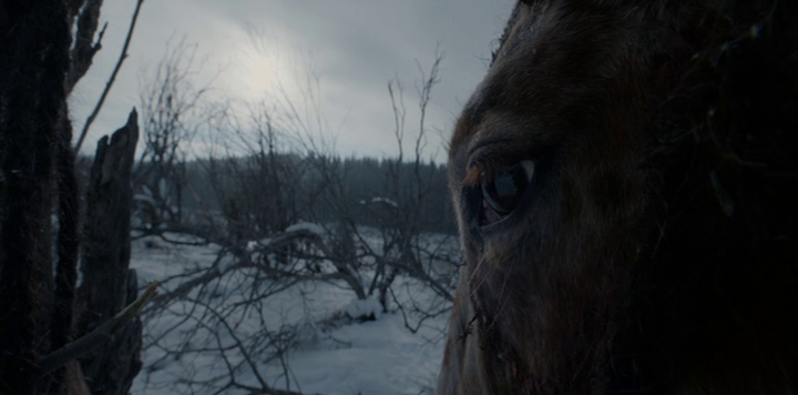 The Revenant