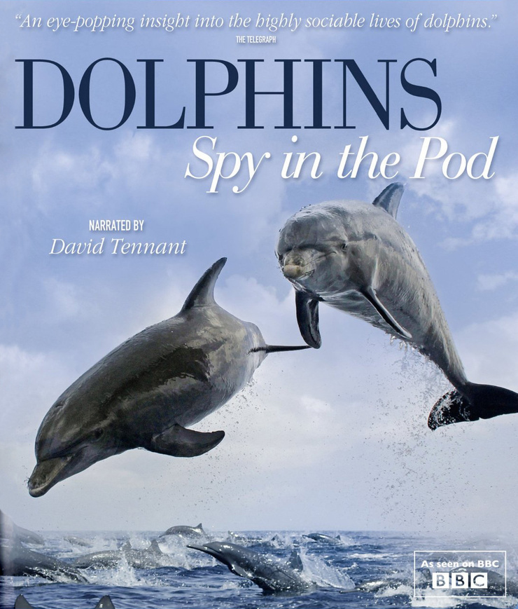 Dolphins: Spy in the Pod
