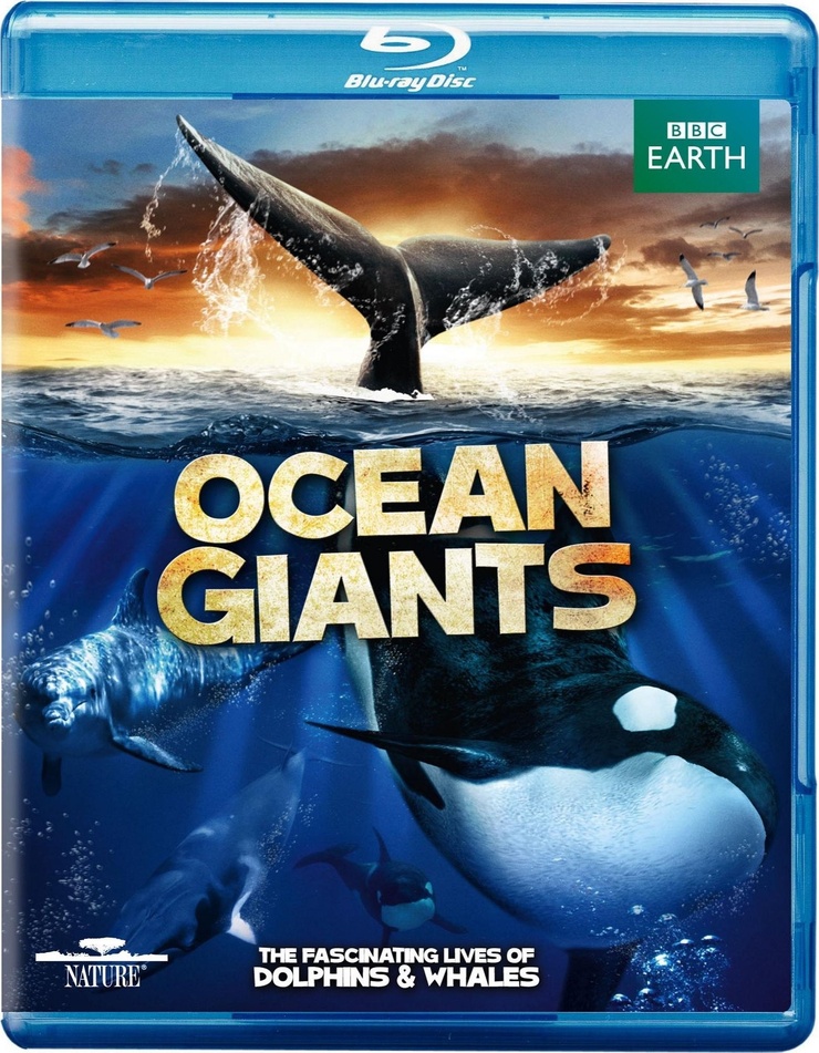 Ocean Giants