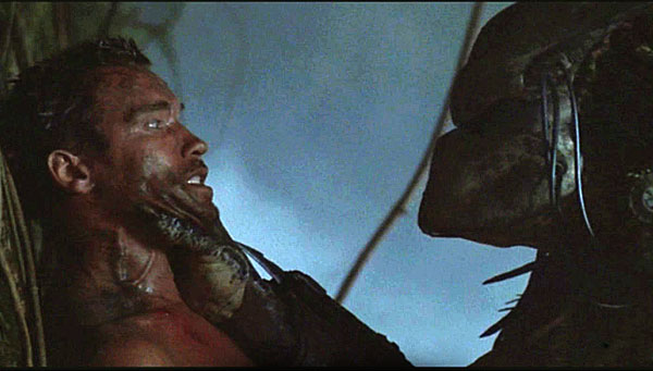 Predator Predator