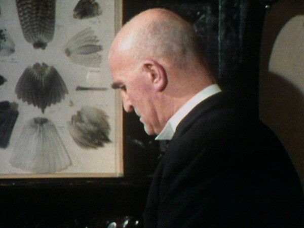 The Two Ronnies (1971-1987) The Two Ronnies (1971-1987)