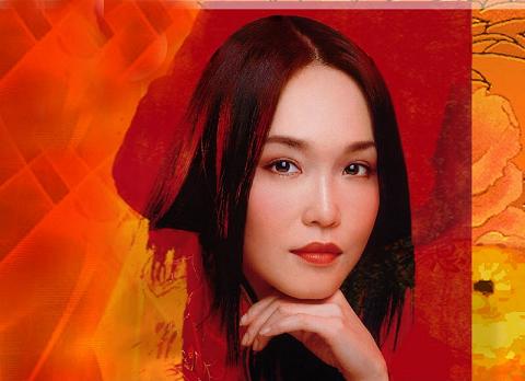 Fann Wong