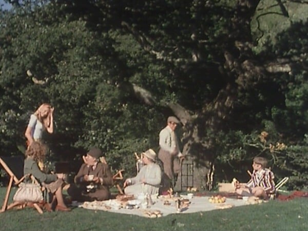 The Picnic