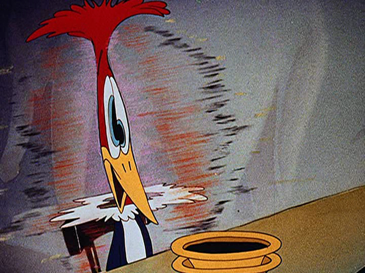 Woody Woodpecker