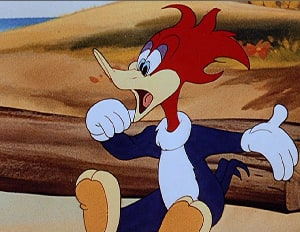 Woody Woodpecker Woody Woodpecker