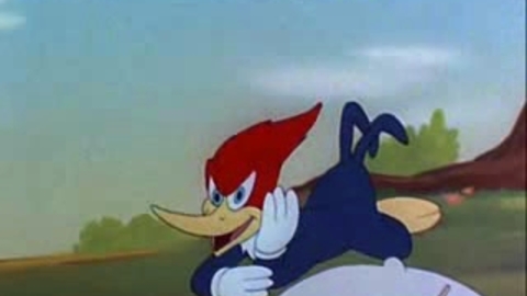 Woody Woodpecker