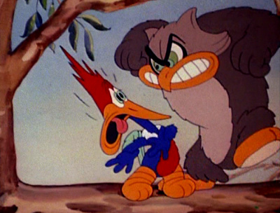 Woody Woodpecker