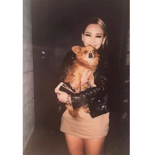 CL