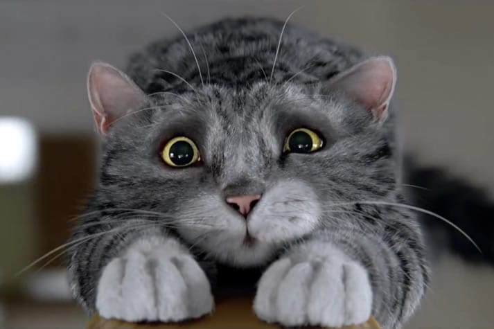 Mog Mog