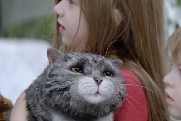 Mog Mog
