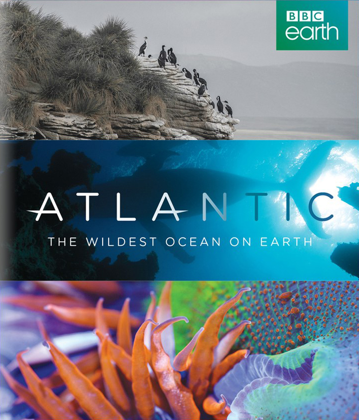 Atlantic: The Wildest Ocean on Earth                                  (2015- )