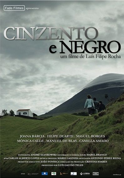 Cinzento e Negro