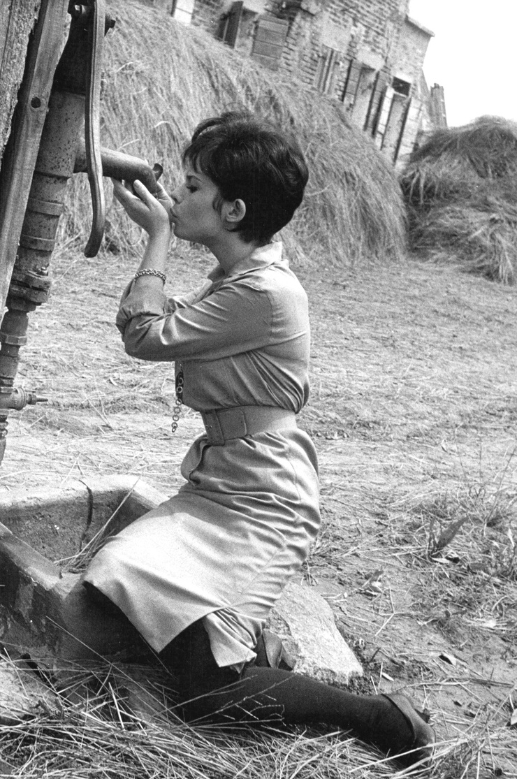 Pascale Petit