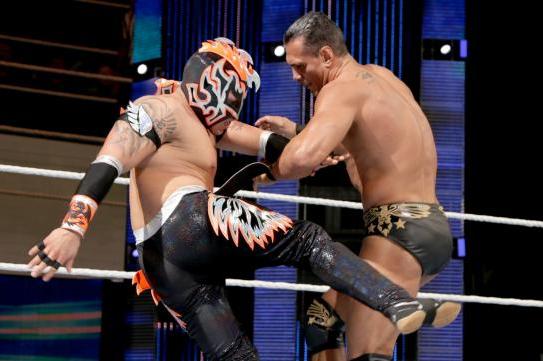 Kalisto vs. Alberto Del Rio (Royal Rumble 2016)