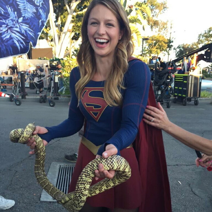 Melissa Benoist