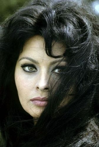 Sophia Loren Sophia Loren