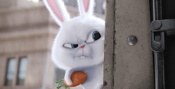 The Secret Life of Pets The Secret Life of Pets