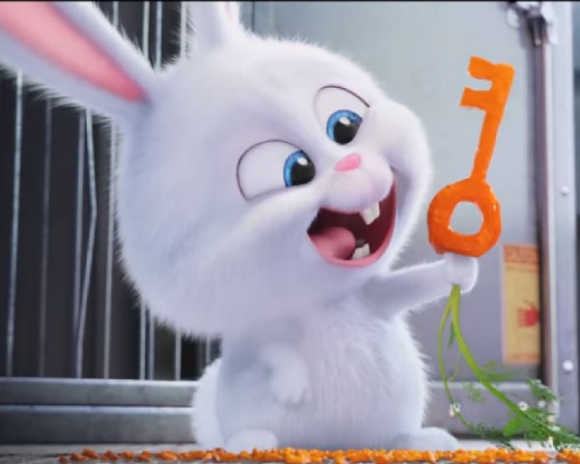 The Secret Life of Pets The Secret Life of Pets