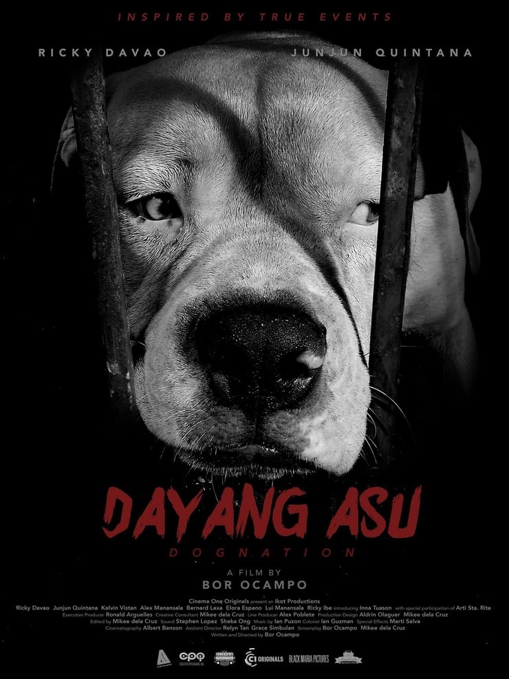 Dayang asu                                  (2015)