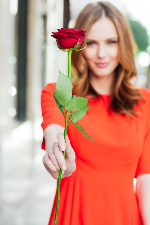 Alyssa Campanella Alyssa Campanella