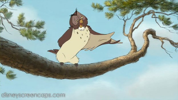Owl Owl