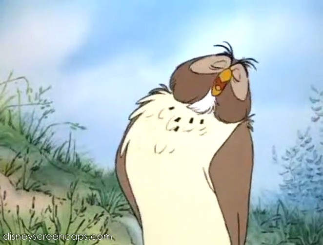 Owl Owl