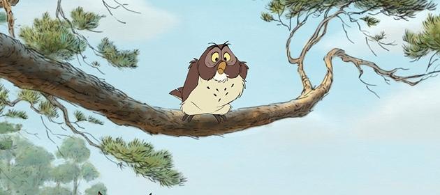 Owl Owl