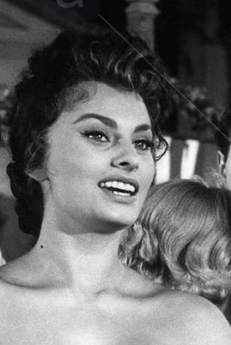 Picture of Sophia Loren