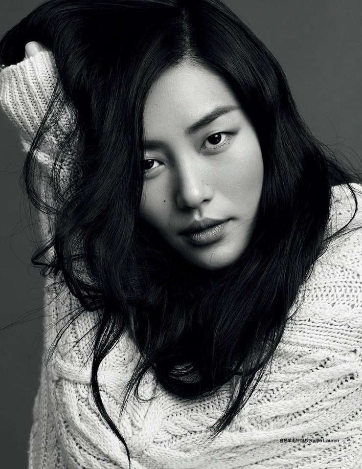 Liu Wen