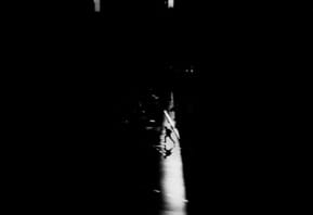 Trent Parke