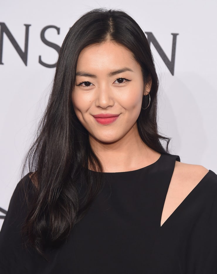 Liu Wen