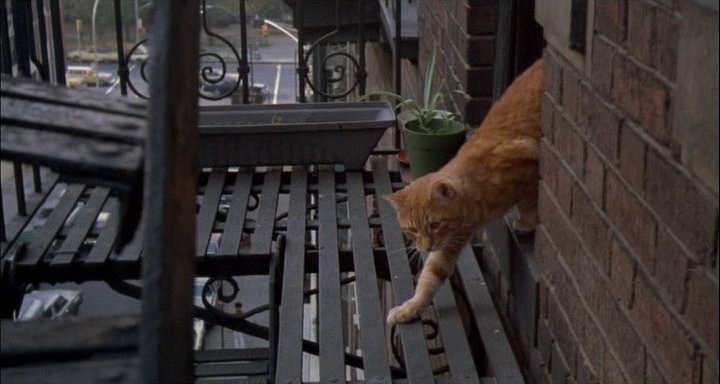 Harry and Tonto (1974) Harry and Tonto (1974)